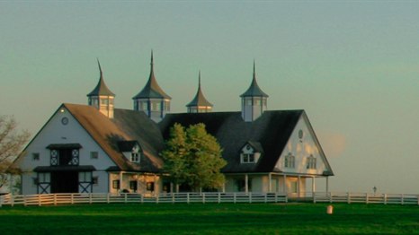 Bluegrass horse farm, Kentucky &ndash; mobile medical clinics available in Kentucky