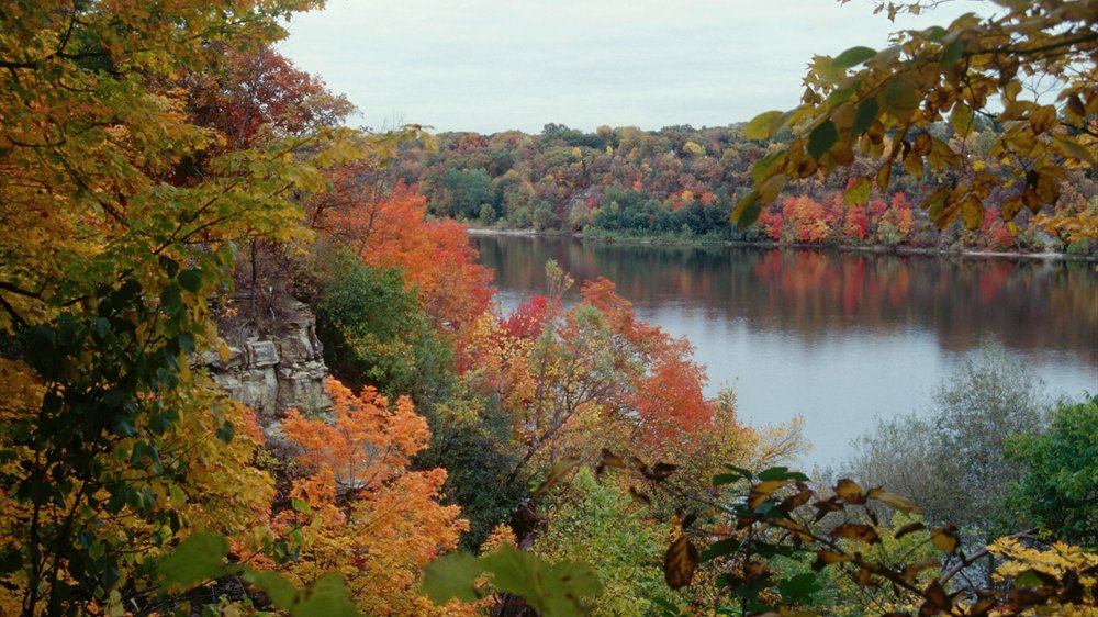 Fall color in the Mississippi River Gorge, Minnesota &ndash; mobile medical clinics available in Minnesota
