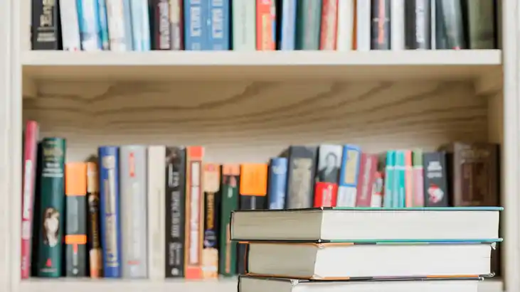 The Impact of Bookmobiles: Driving Literacy and Community Connection